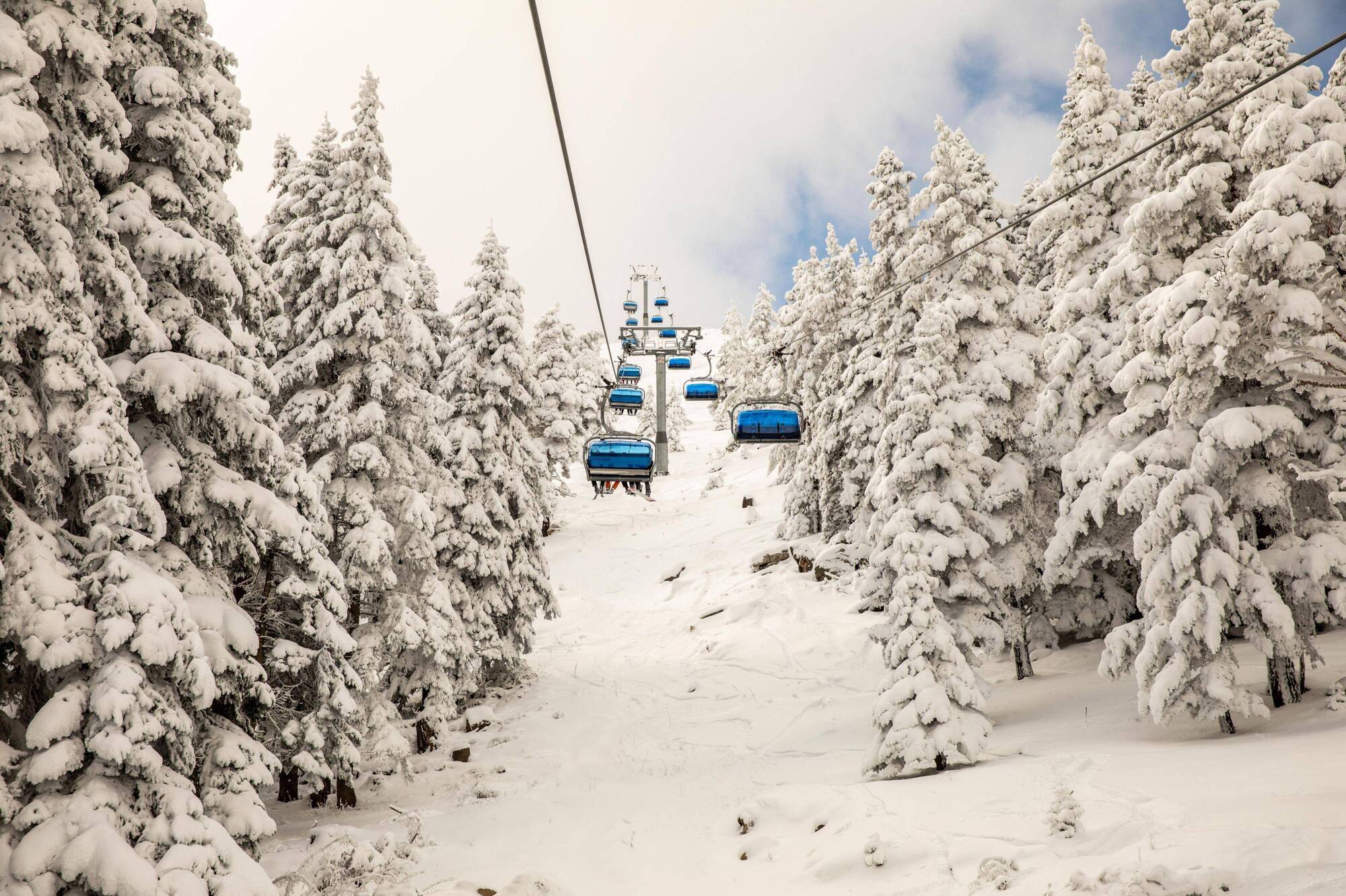 Dorukkaya Ski&Mountain Resort Bolu Luaran gambar